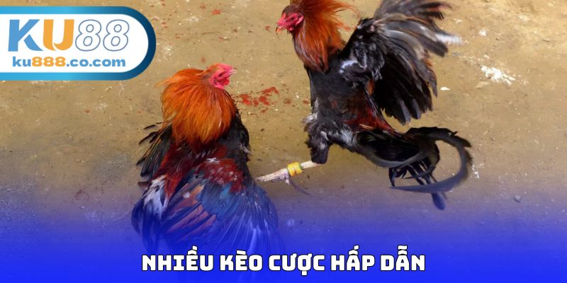 Nhiều kèo cược hấp dẫn