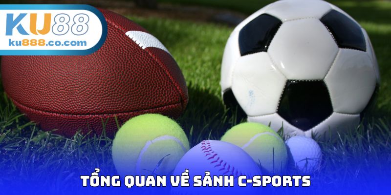 Tổng quan về sảnh C-Sports