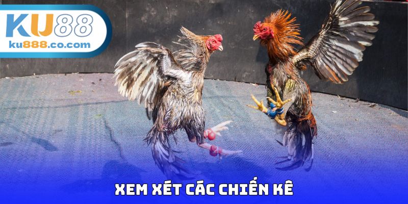Xem xét các chiến kê